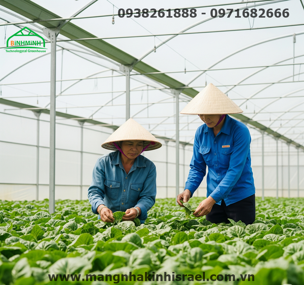 Biến Đổi Khí Hậu: Thách Thức và Cơ Hội Cho Nông Nghiệp Việt Nam Với Giải Pháp Màng Nhà Kính 